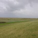 Hauptdeich (9 m üNN) mit vorgelagerter jüngster Marschbildung, im Hintergrund Pilsumer Leuchtturm